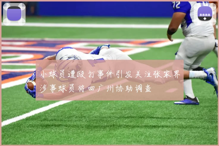 小球员遭殴打事件引发关注张家界涉事球员将回广州协助调查