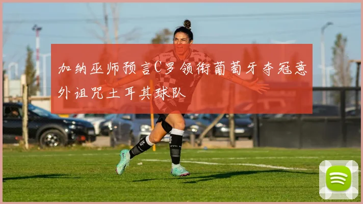 加纳巫师预言C罗领衔葡萄牙夺冠意外诅咒土耳其球队
